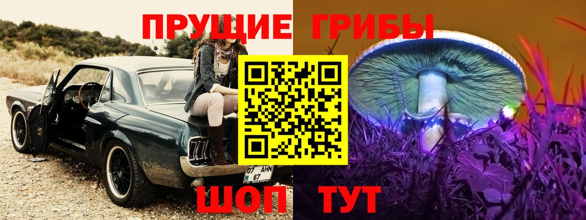 Псилоцибиновые грибы мухоморы Долгопрудный
