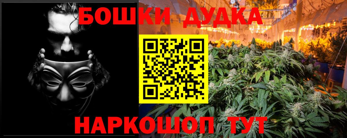 Бошки марихуана тримм  Вход с VPN  Марихуана ГИДРОПОН  Каннабис планчик  Долгопрудный  МАРИХУАНА планчик 